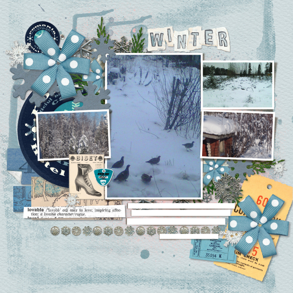 Winter photos