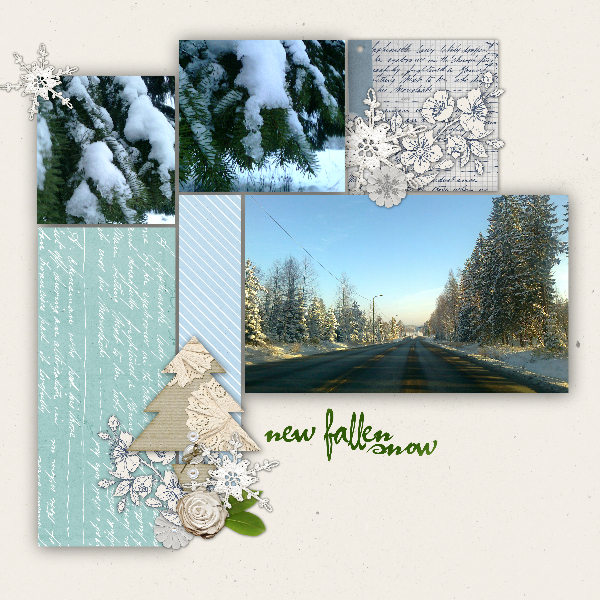 winter photos