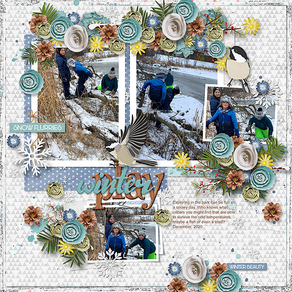 Winter Play