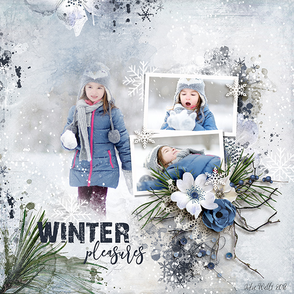 winter pleasures