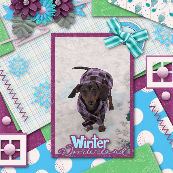 Winter Pup