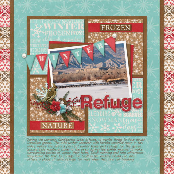 Winter Refuge