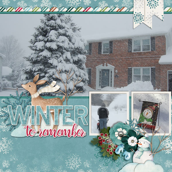 Winter-Remember