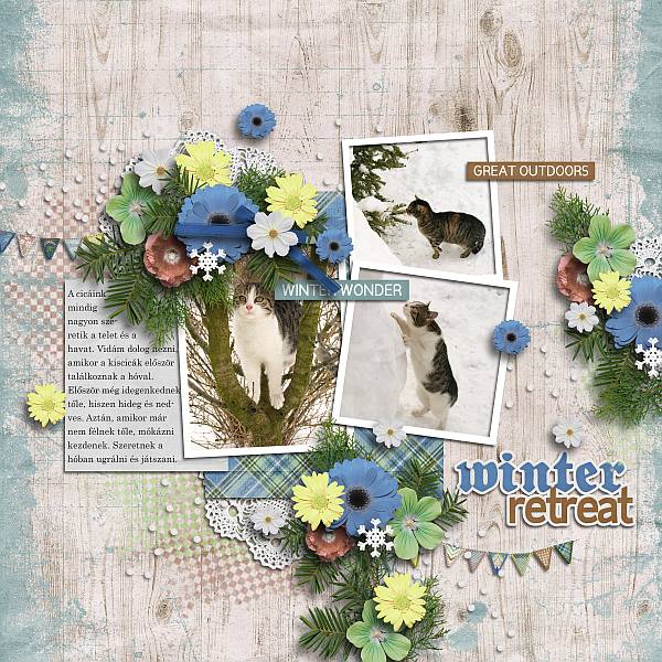 Winter retreat