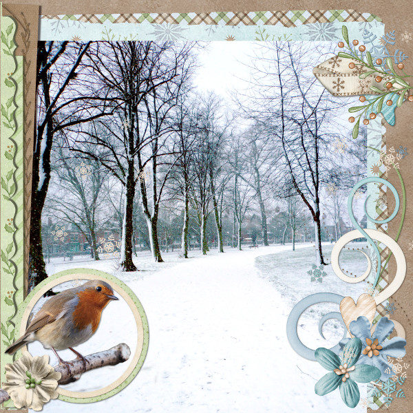 Winter Robin