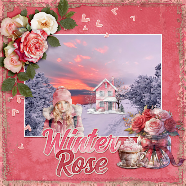 Winter-rose