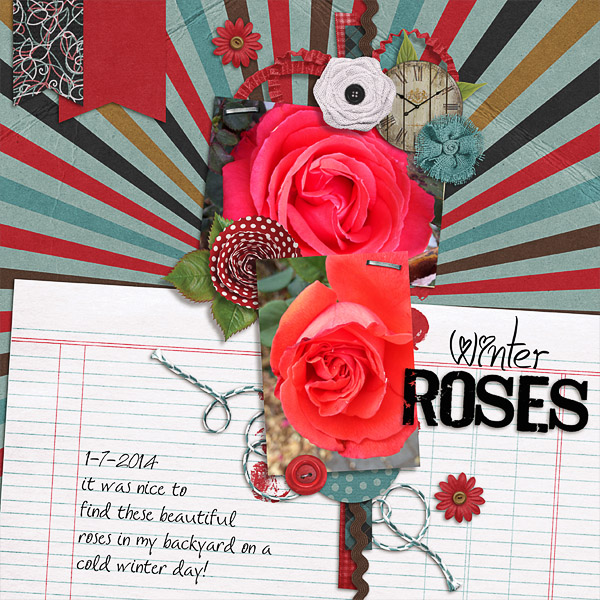 Winter Roses