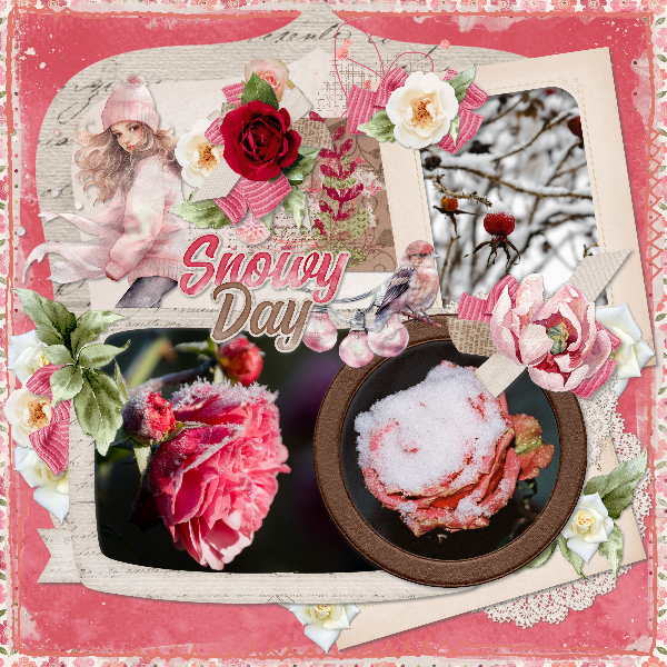 Winter roses