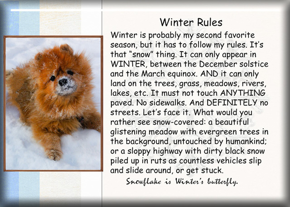 Winter Rules