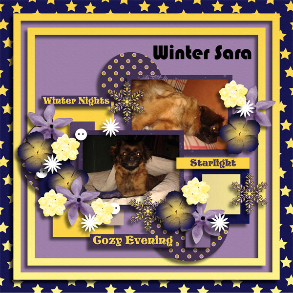 Winter Sara