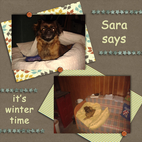 Winter Sara