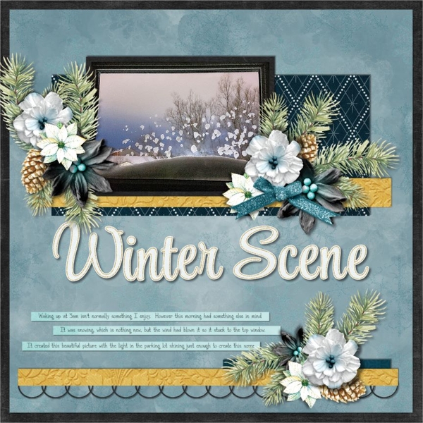 Winter Scene