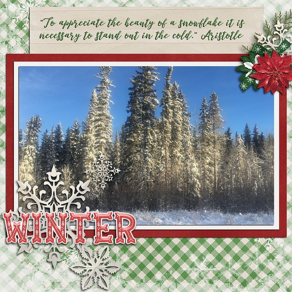 Winter Scenery