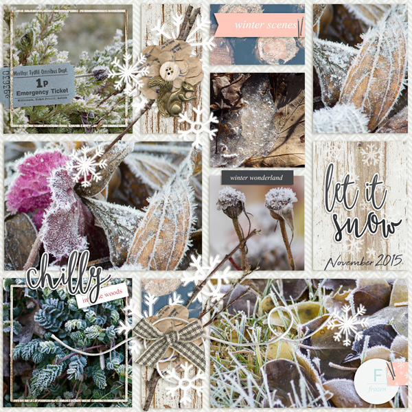 Winter Scenes