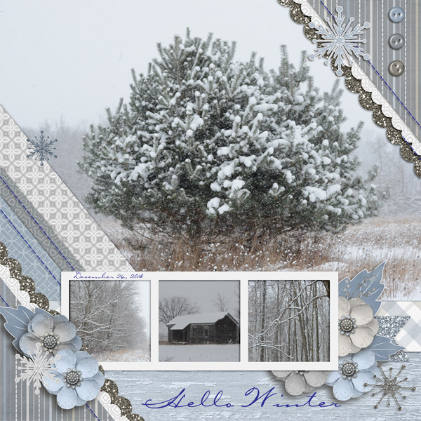 Winter Scenes
