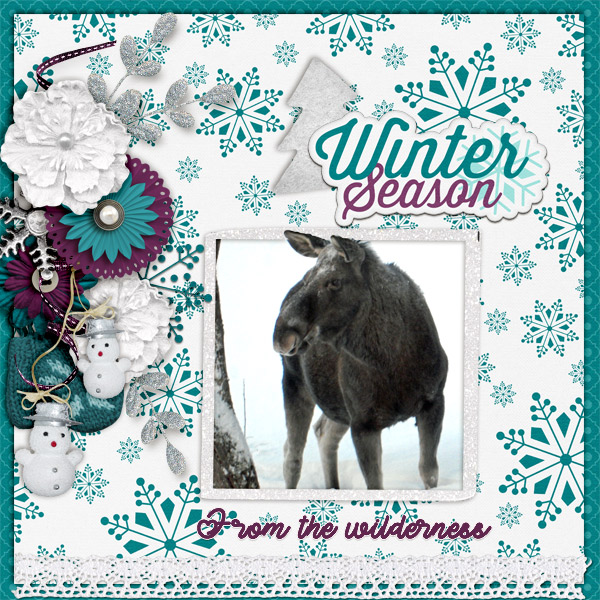 Winter-season