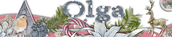 Winter Siggy