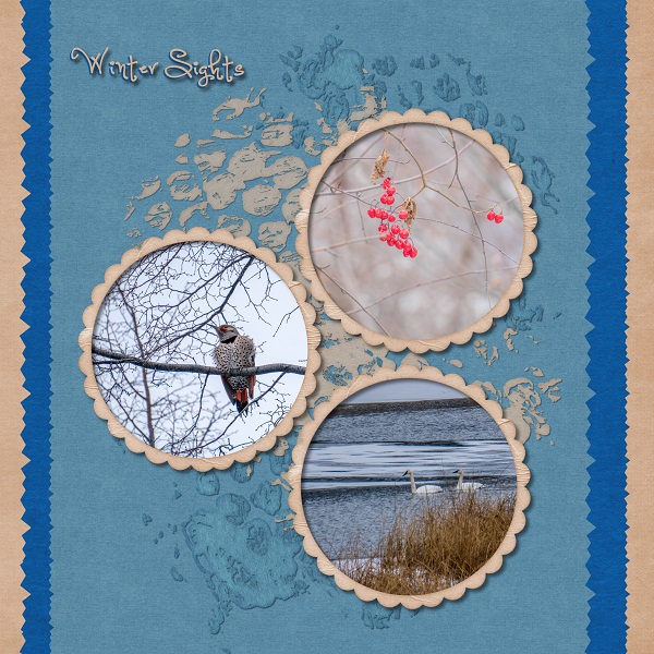 Winter Sights