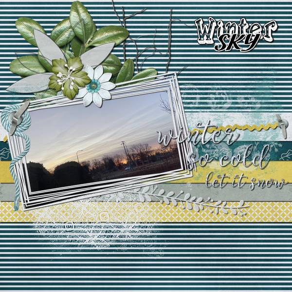 Winter Sky