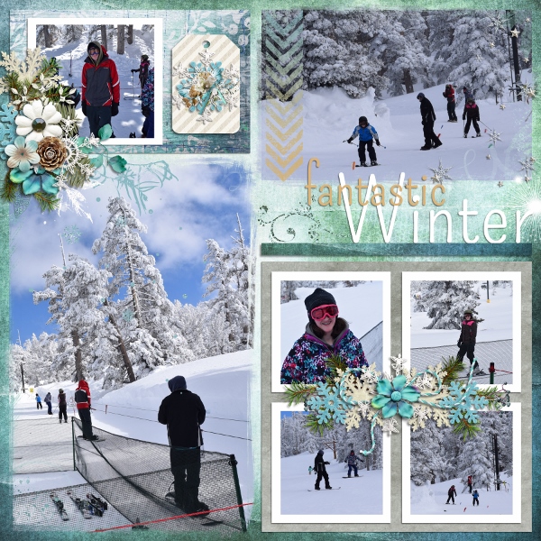 Winter Snow