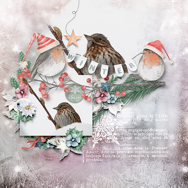 Winter Snow