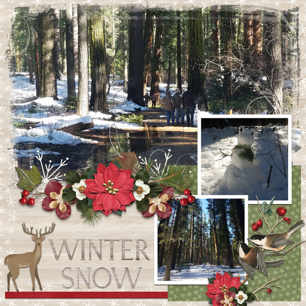 Winter Snow