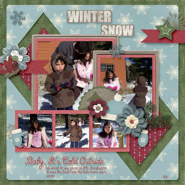 Winter Snow