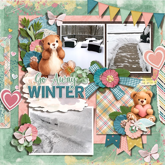 Winter Snow