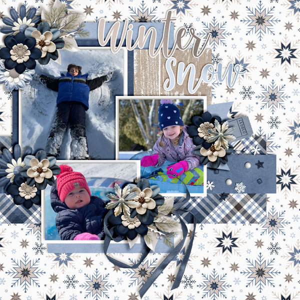 Winter-Snow5
