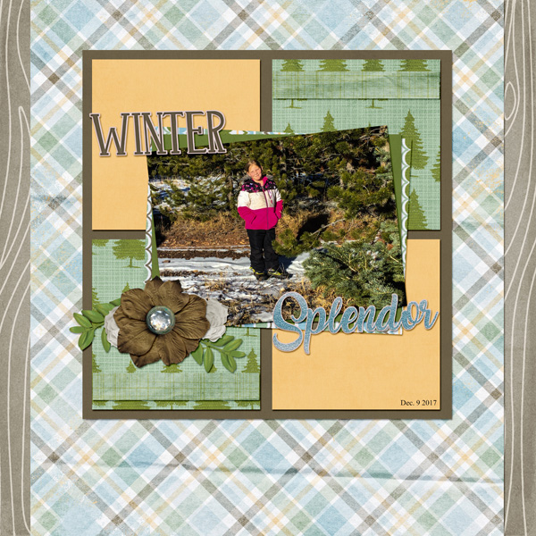 Winter Splendor