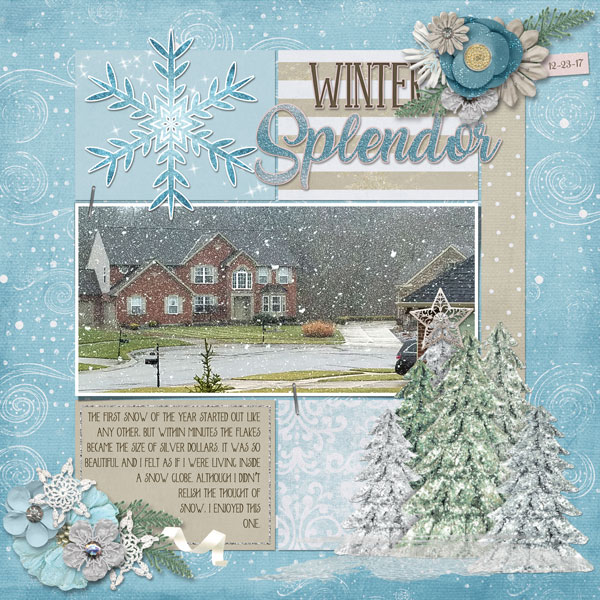 Winter Splendor