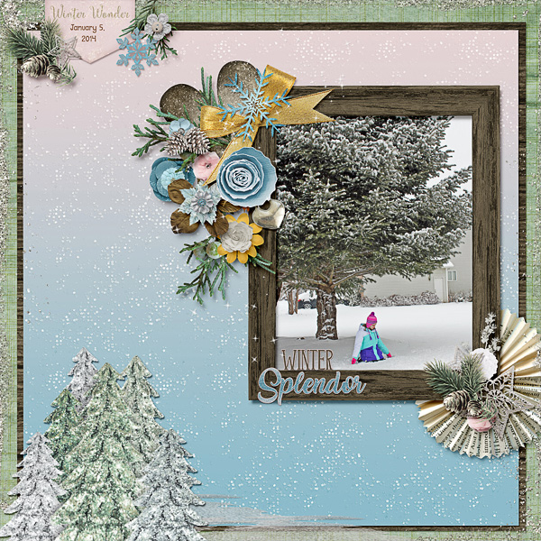 Winter Splendor