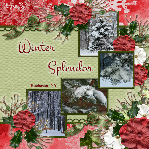 Winter Splendor
