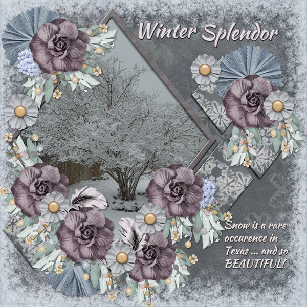 Winter Splendor