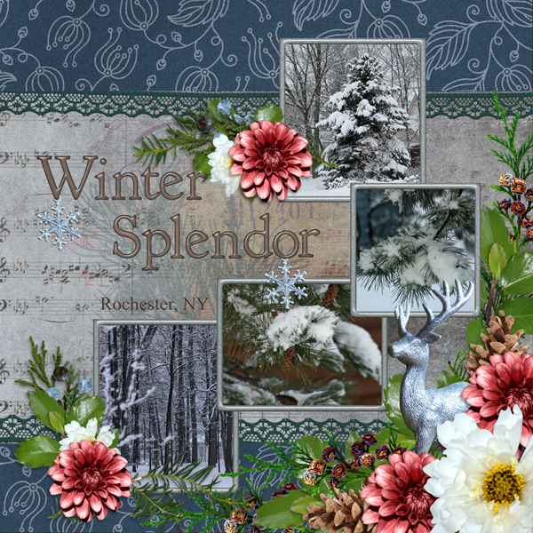 Winter Splendor
