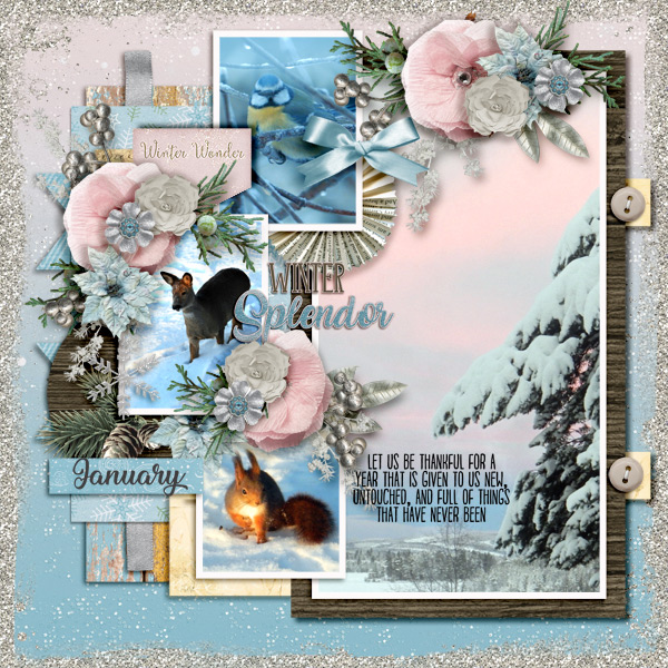 Winter-splendor1
