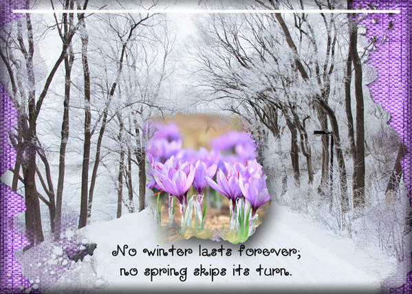 Winter-Spring