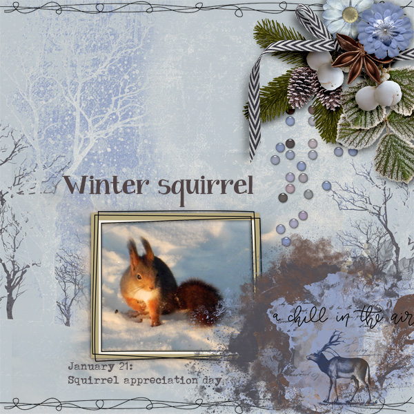 Winter-squirrel