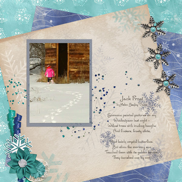 Winter Steps