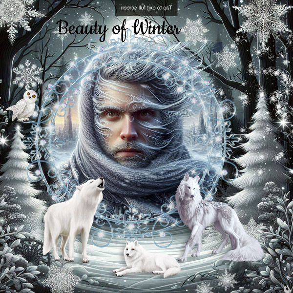 Winter Stories