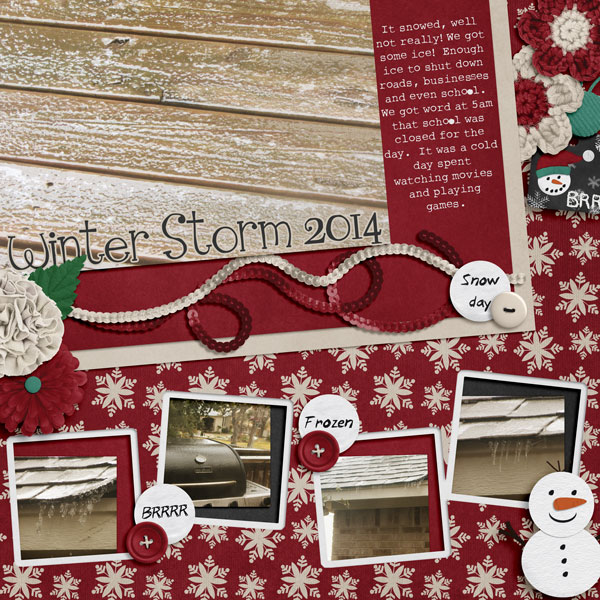 Winter Storm 2014