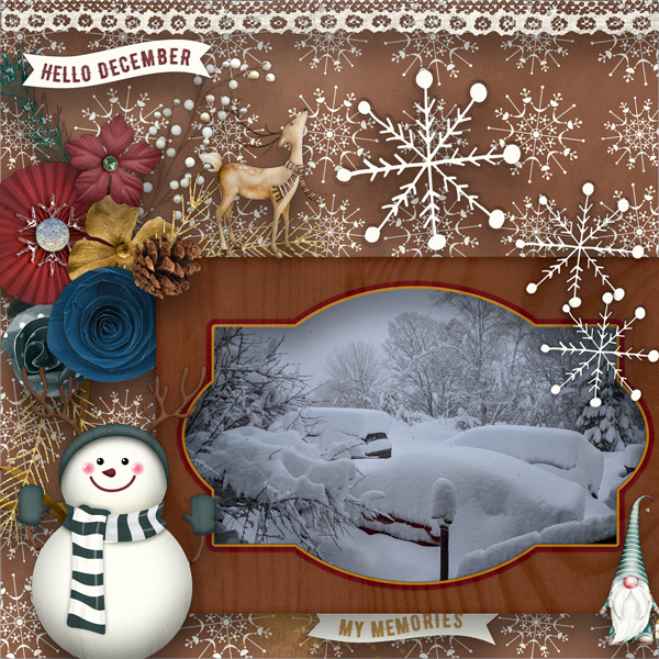 WINTER STORM - MY MEMORIES -DEC22