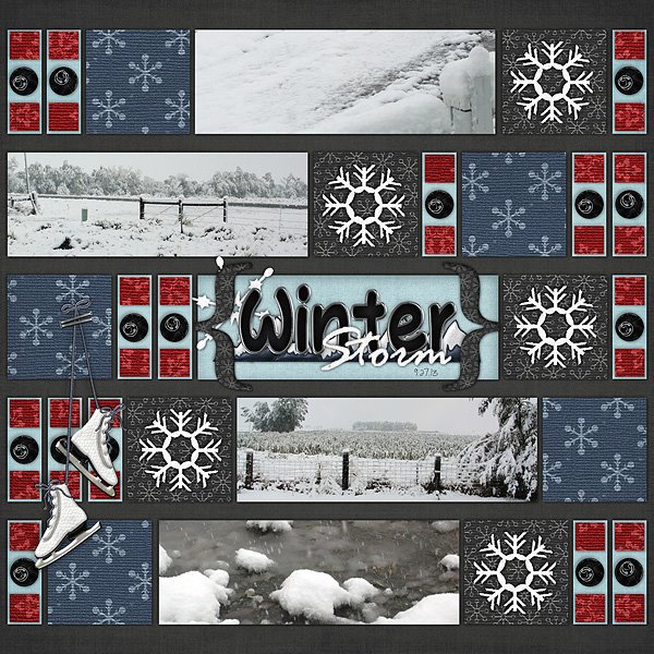 Winter Storm