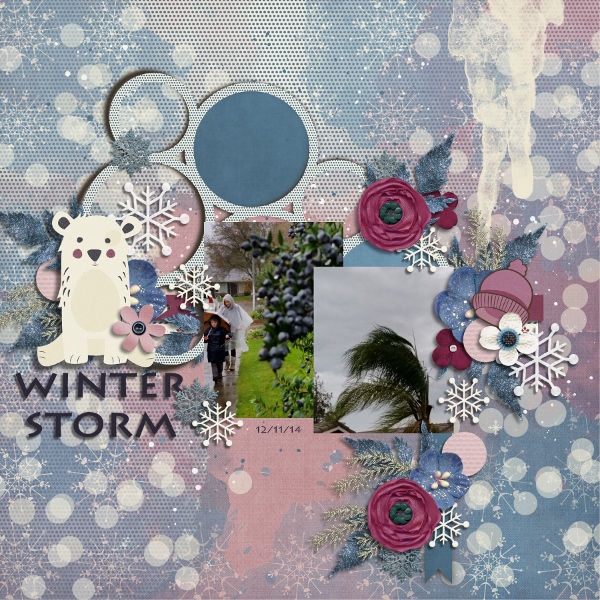 Winter Storm
