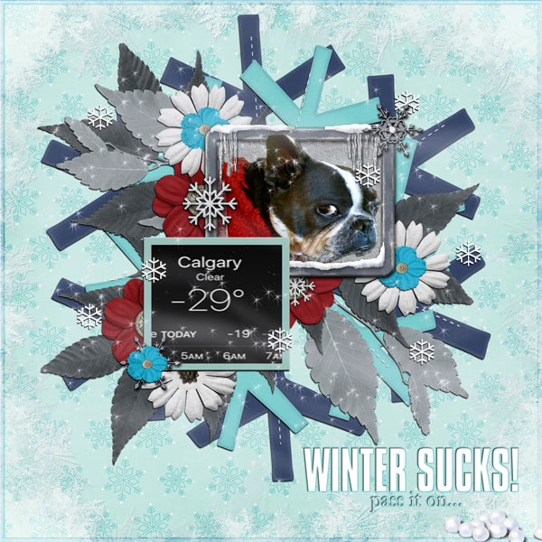WINTER SUCKS!