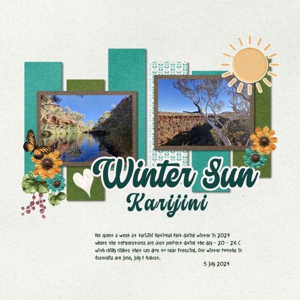 Winter Sun