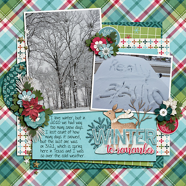 Winter to Remember