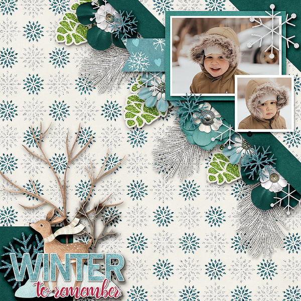 Winter To Remember