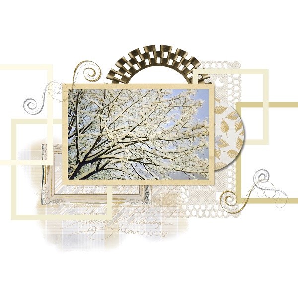 Winter Tree