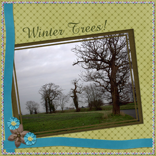 Winter Trees!